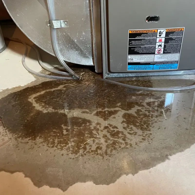 Pipe Burst and Leak Restoration in Sanders County, MT