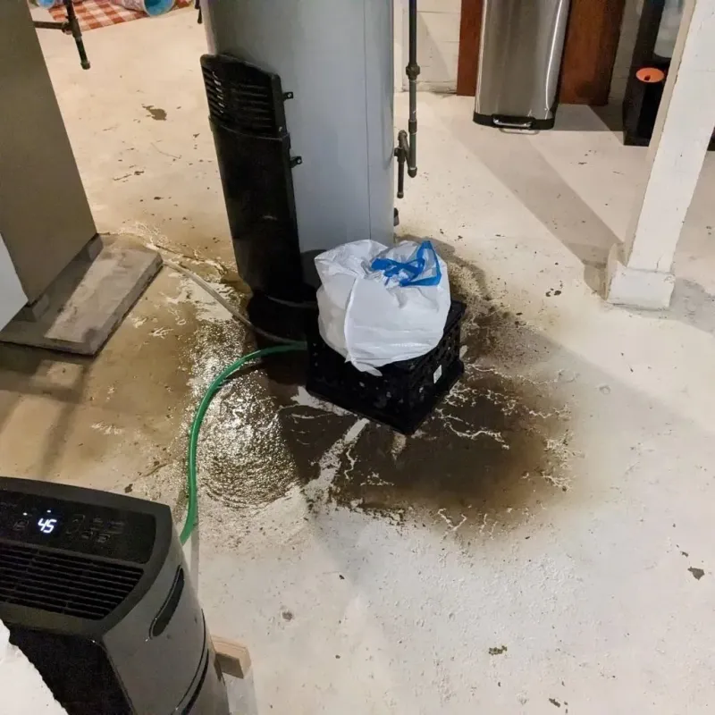 Sewage Backup Cleanup Service in Sanders County, MT